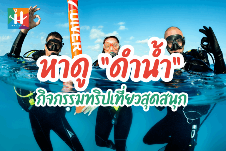 หาดูดำน้ำ หนึ่งในกิจกรรมที่ดีที่สุดในการออกทริปเที่ยว