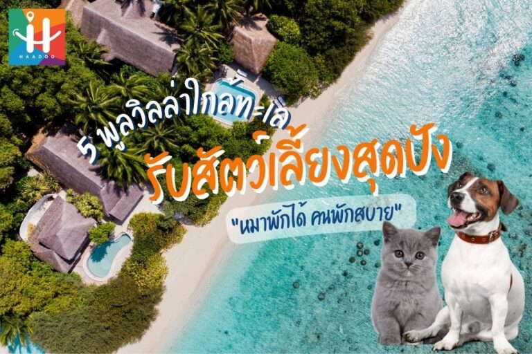 🏖 5 พูลวิลล่าใกล้ทะเลรับสัตว์เลี้ยงสุดปัง “หมาพักได้ คนพักสบาย”