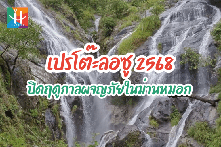 เปรโต๊ะลอซู 2568 สัมผัสหัวใจแห่งป่าอุ้มผาง เปิดฤดูกาลผจญภัยในม่านหมอก