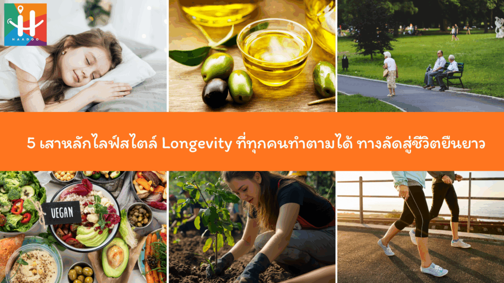 5 เสาหลักไลฟ์สไตล์ Longevity ที่ทุกคนทำตามได้ ทางลัดสู่ชีวิตยืนยาว