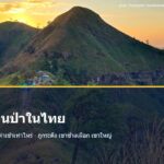 นักเดินป่าบนสันเขาช้างเผือก อุทยานแห่งชาติทองผาภูมิ จังหวัดกาญจนบุรี ยามพลบค่ำ