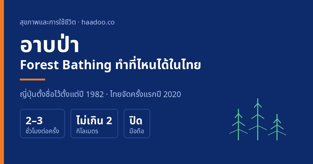 อาบป่า Forest Bathing ในไทย ใช้เวลา 2 ถึง 3 ชั่วโมง เดินไม่เกิน 2 กิโลเมตร และปิดมือถือ